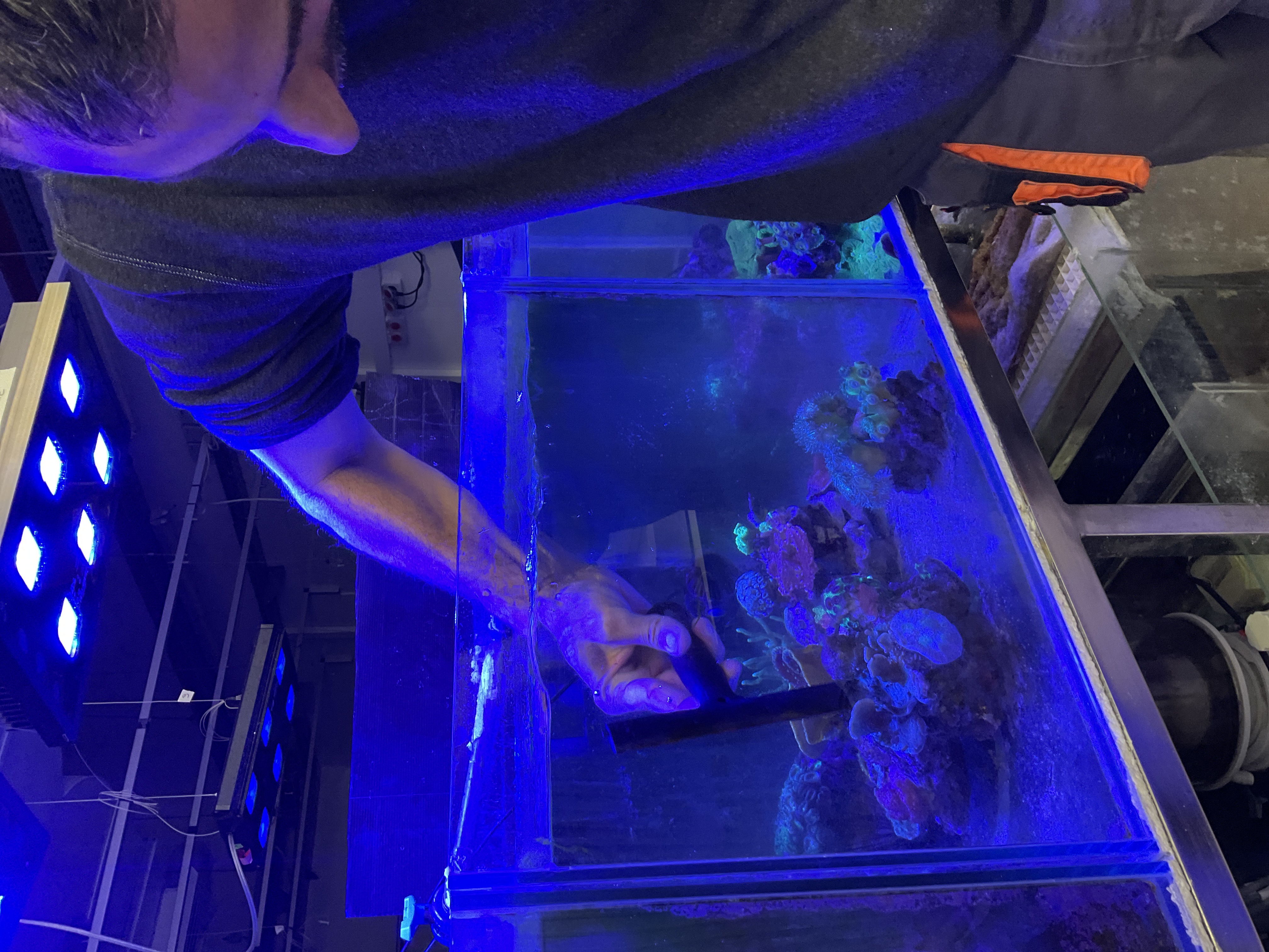 Figure 5: Scraper cleaning
